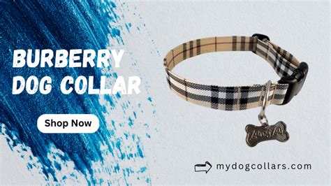 burberry tuch hunde|burberry dog collars.